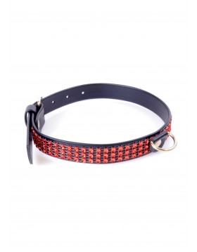 Fetish B - Series Collar with crystals 2 cm Red Line