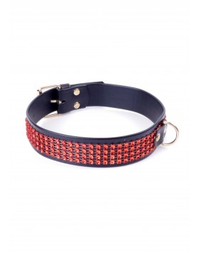 Fetish B - Series Collar with crystals 3 cm Red Line